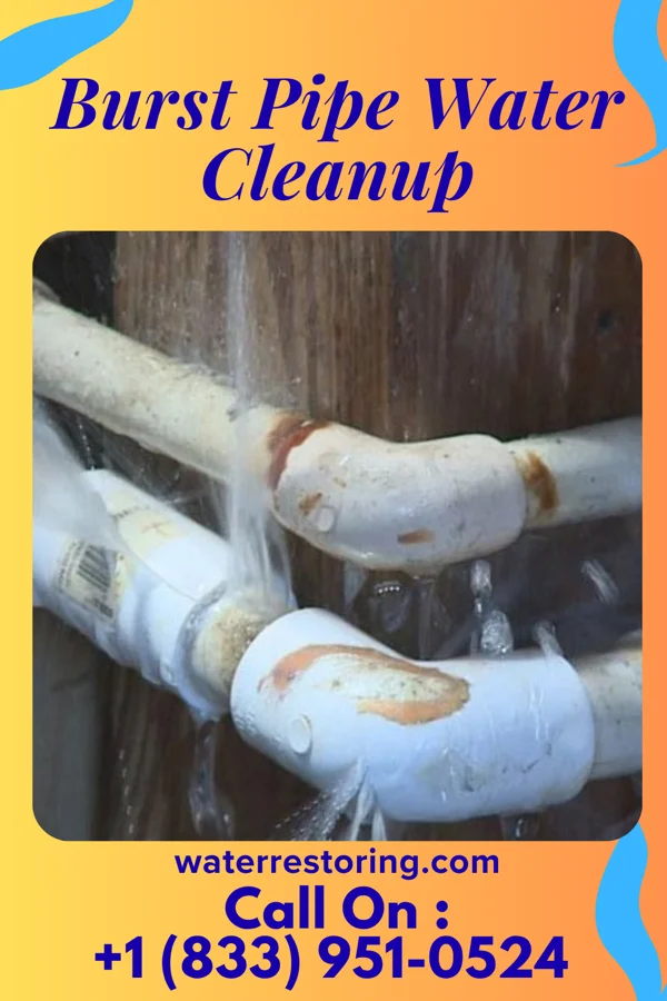 Burst Pipe Water Cleanup in Orchard Hill, GA