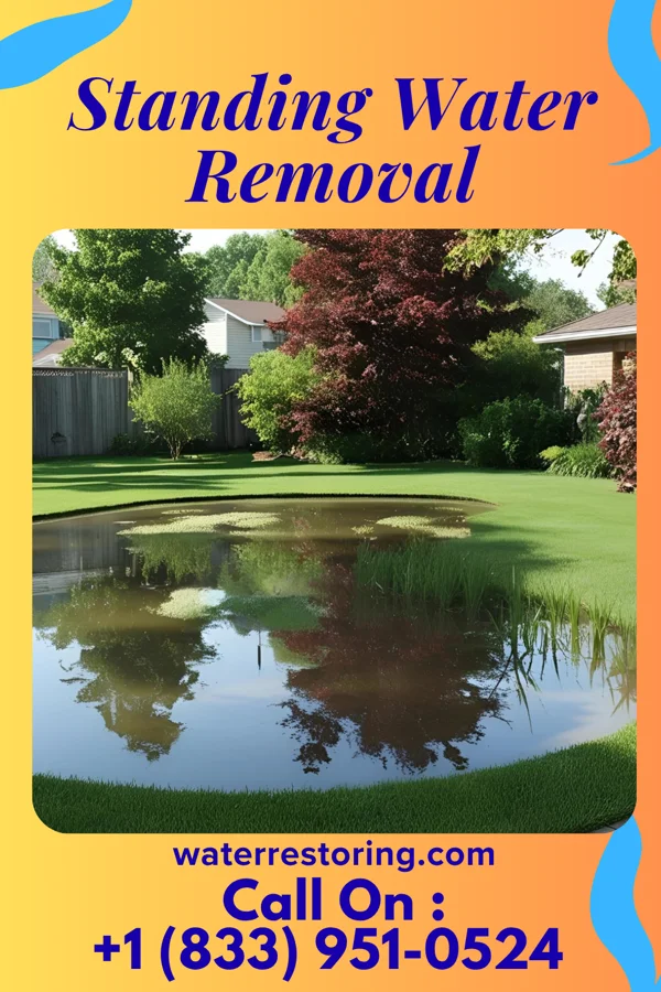 Standing Water Removal in Orchard Hill, GA